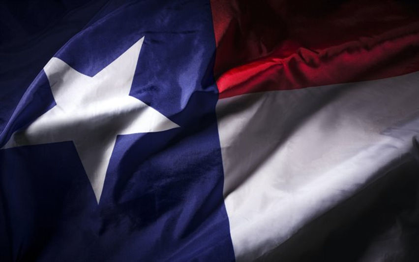 Texas Flag.jpg